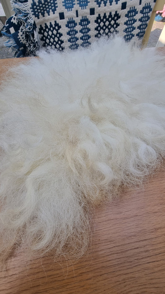 Cyrl - Lleyn mini 23