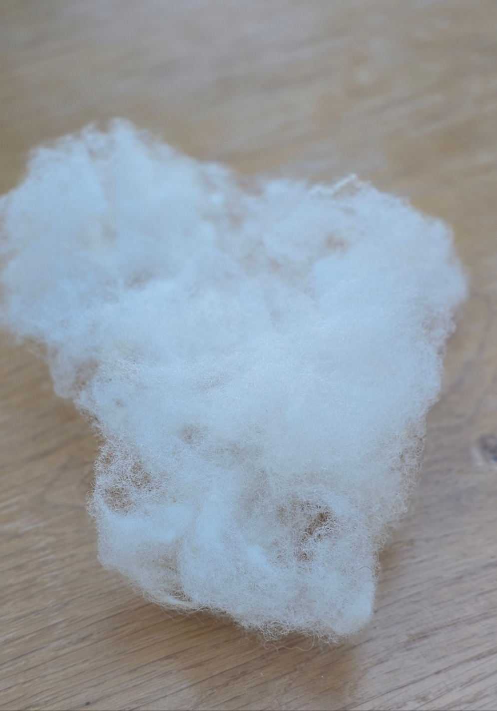 Scoured Texel wool - 100g