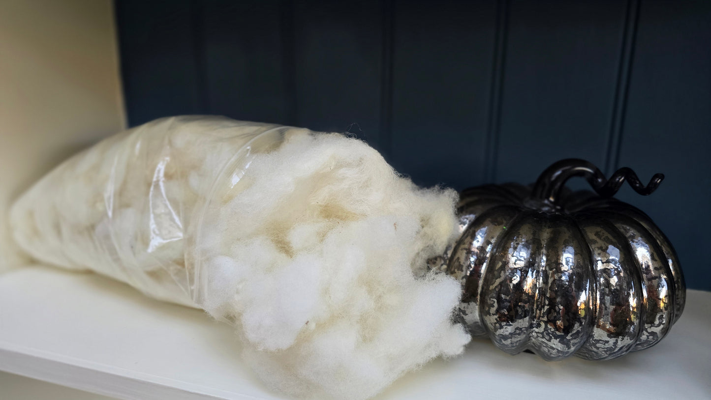 Scoured Texel wool - 100g