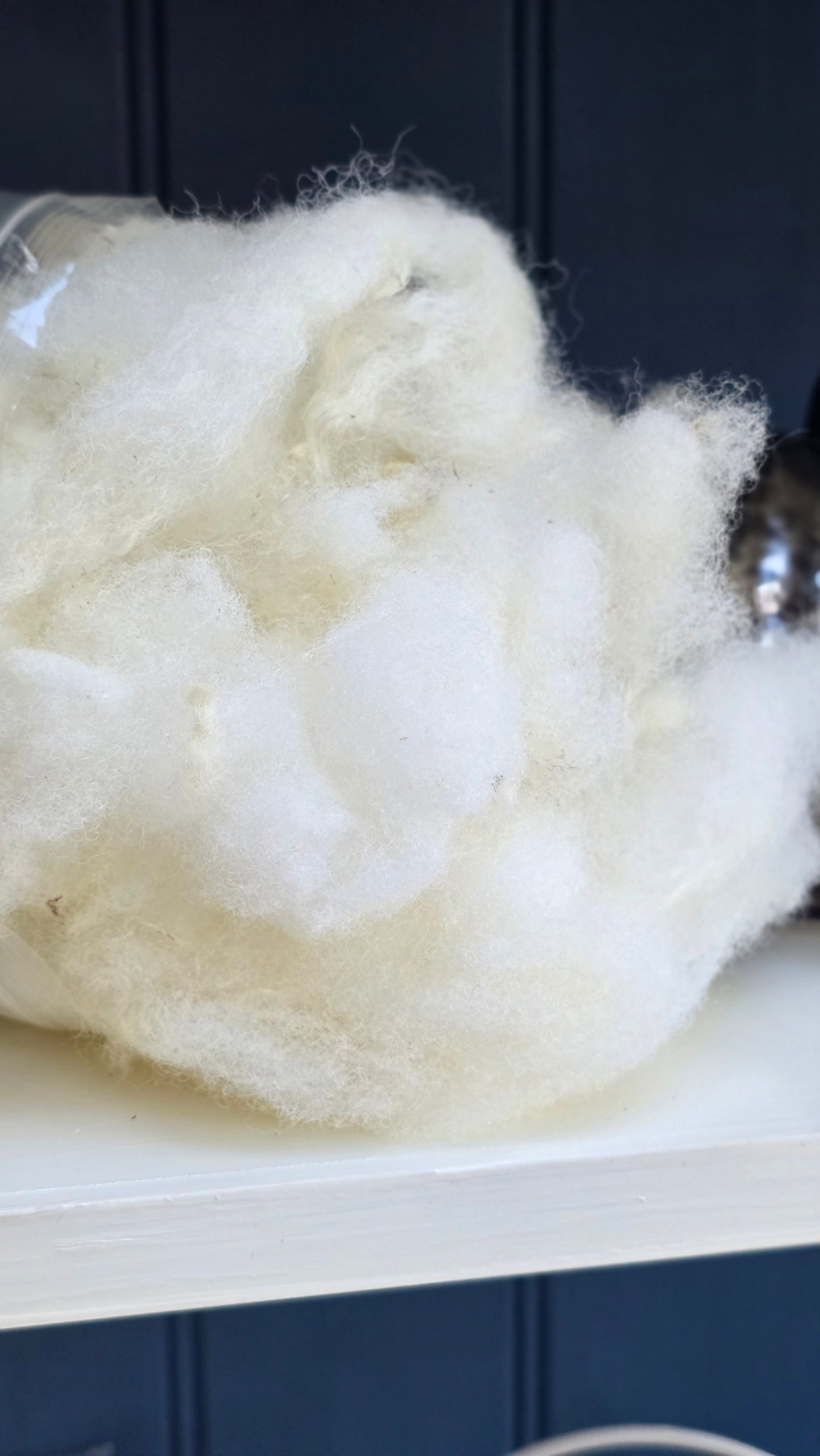 Scoured Texel wool - 100g