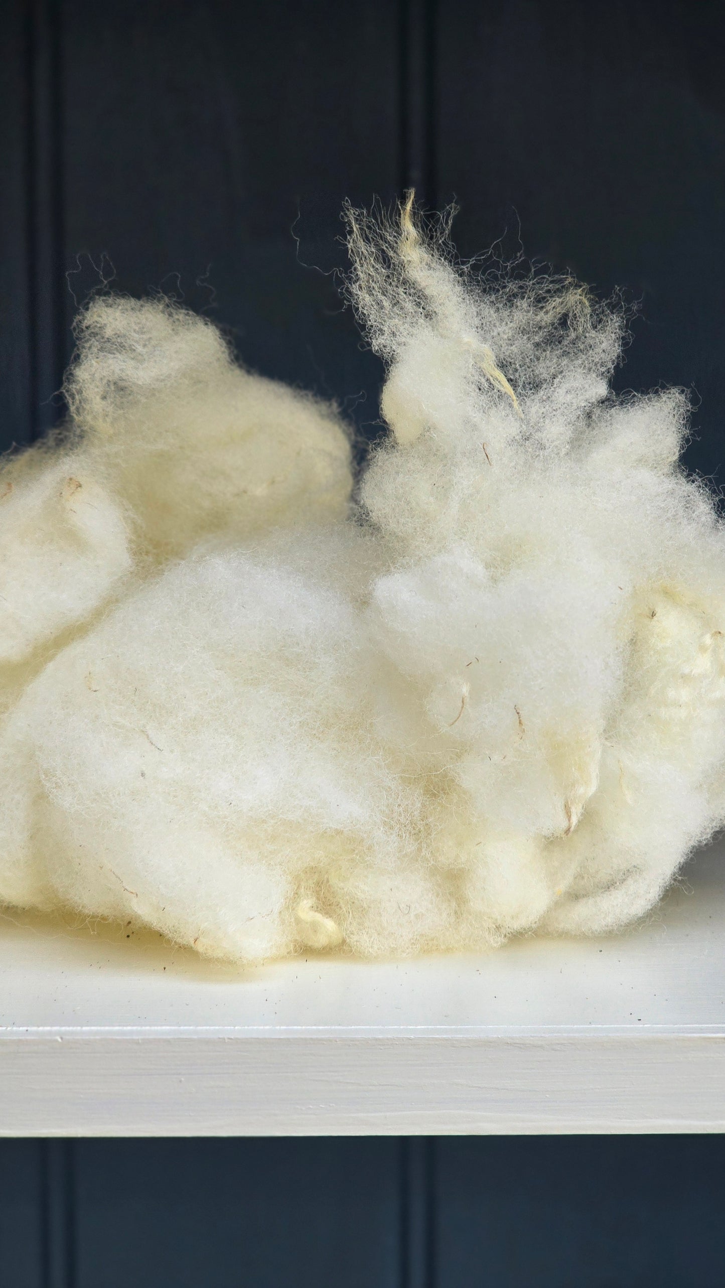 Scoured Texel wool - 100g