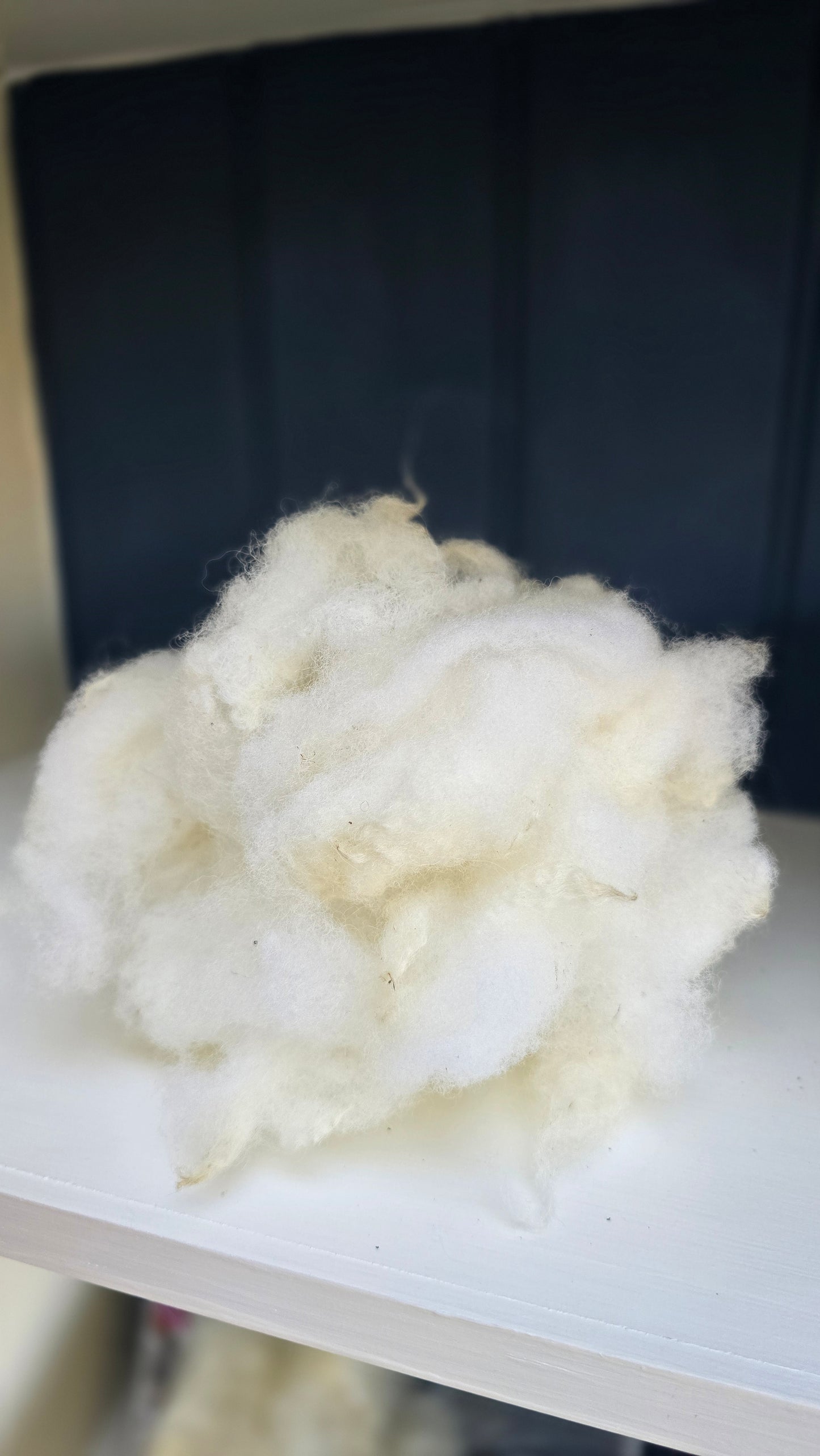 Scoured Texel wool - 100g
