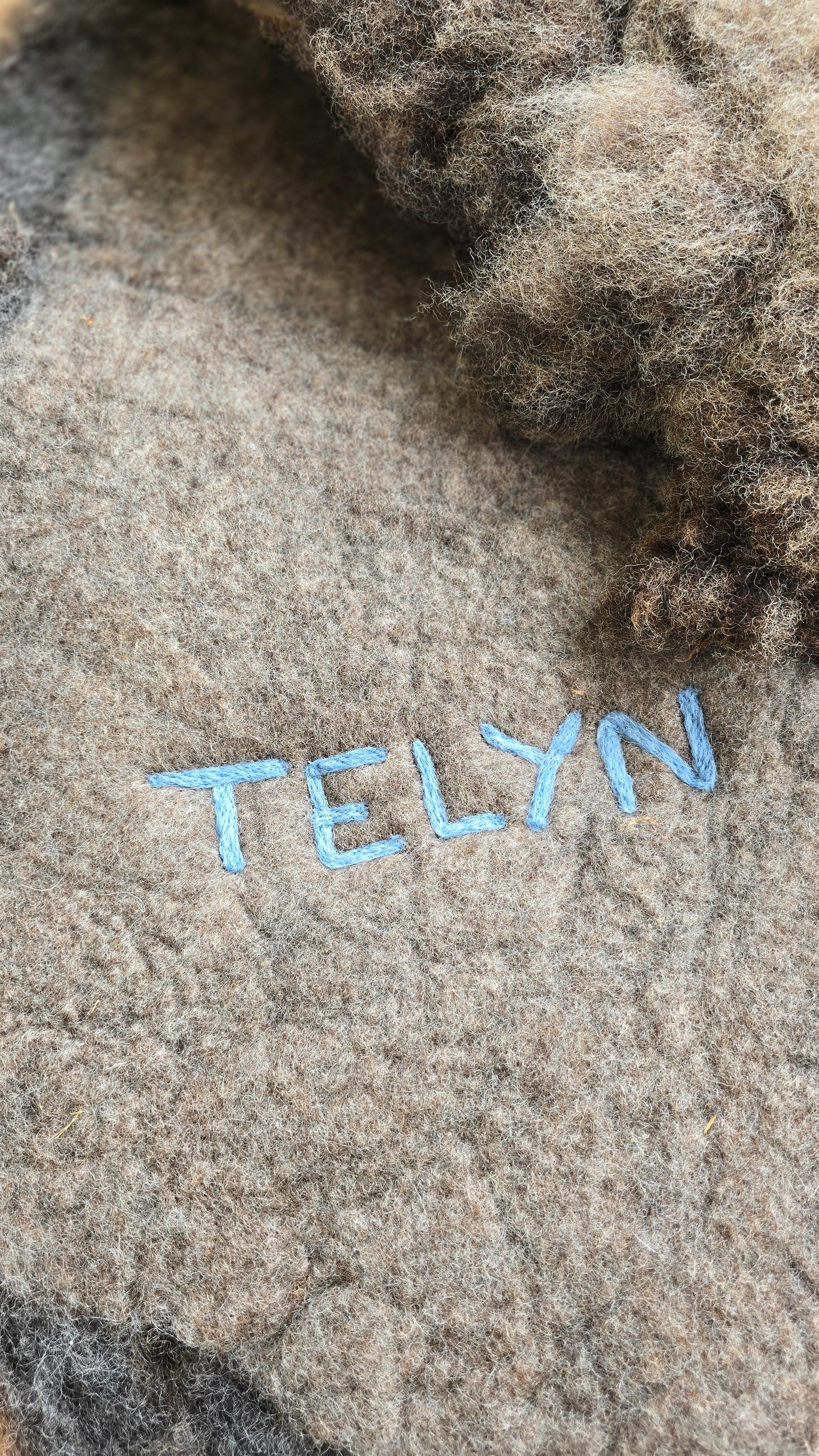 Telyn - 2024
