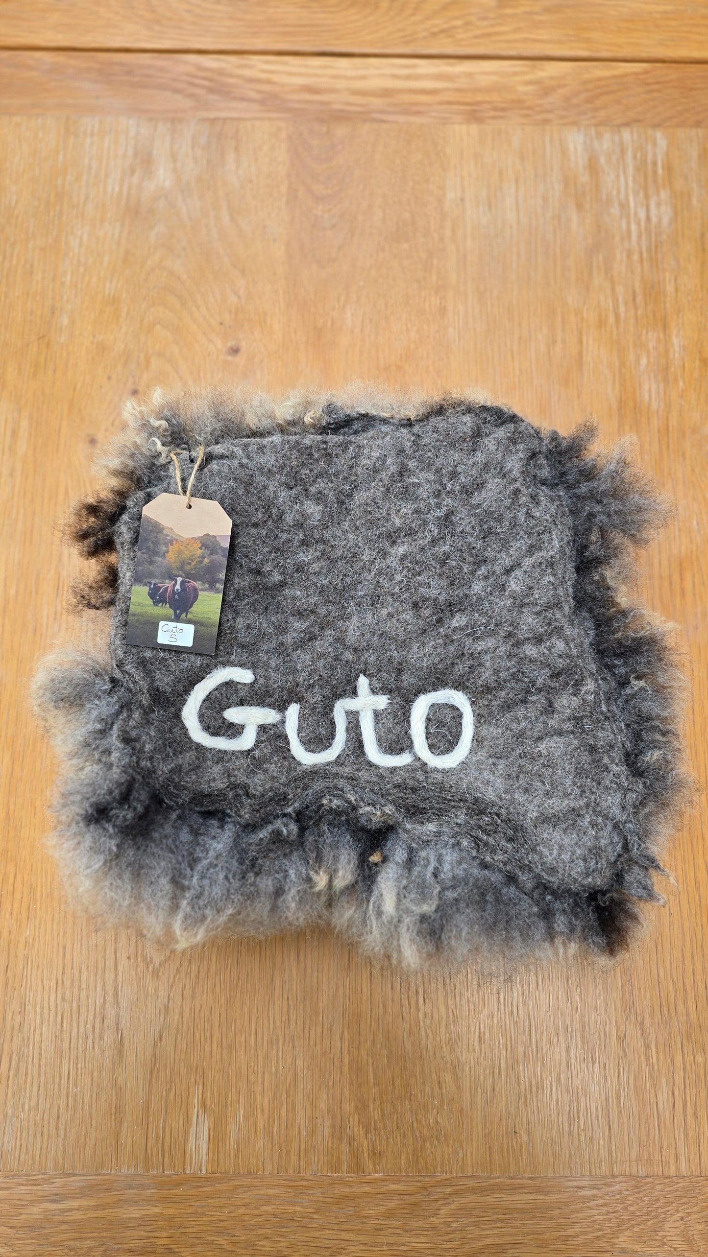 Guto 5 - 2024
