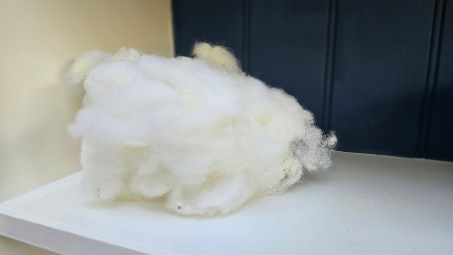 Scoured Texel wool - 100g