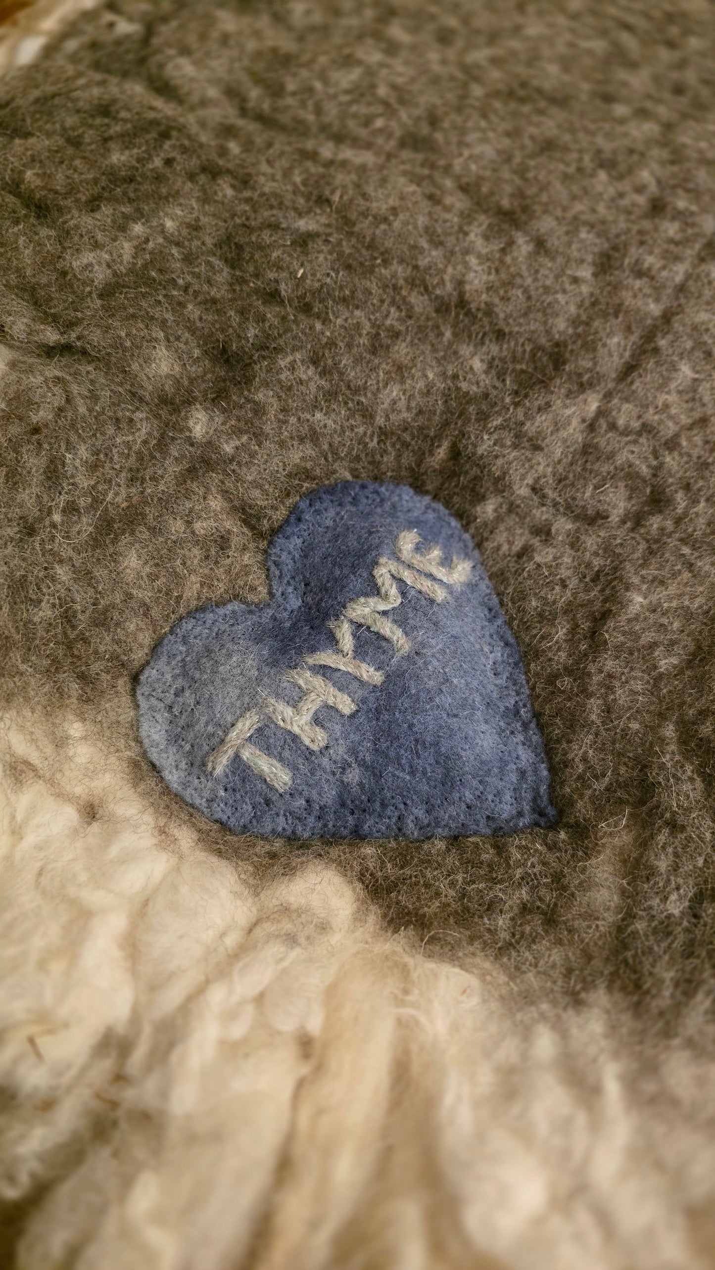Thyme - 2025