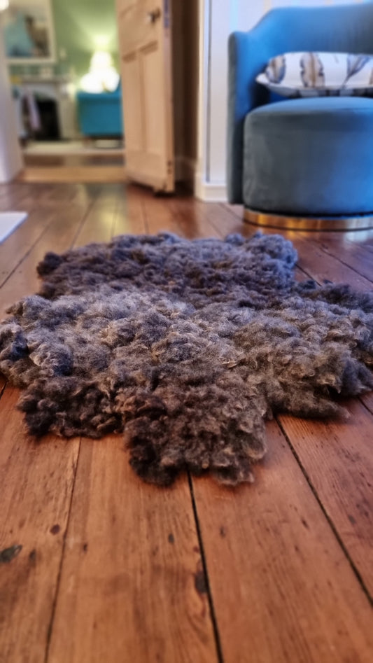 Large pet bed/2nd rug