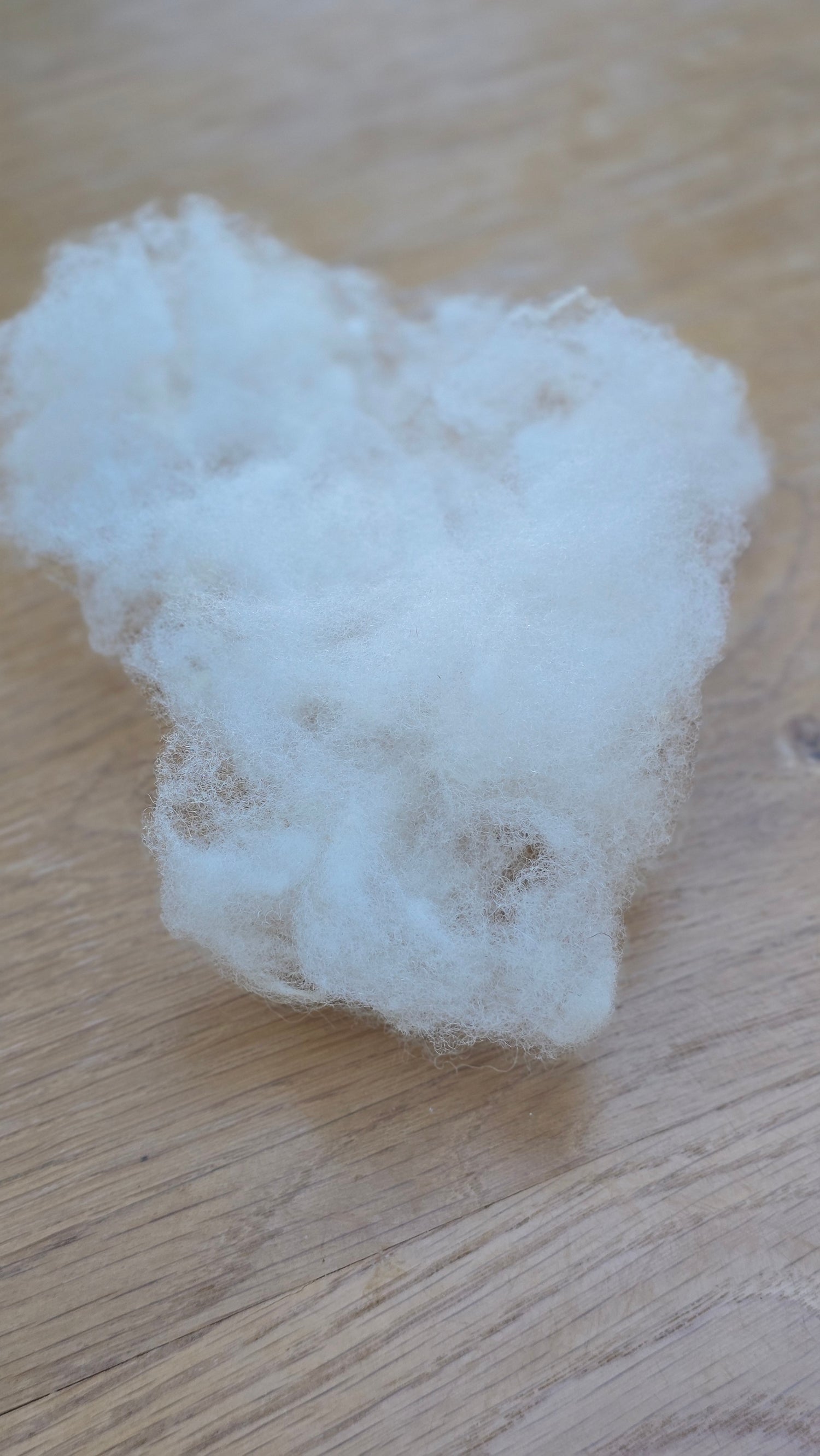 Scoured wool