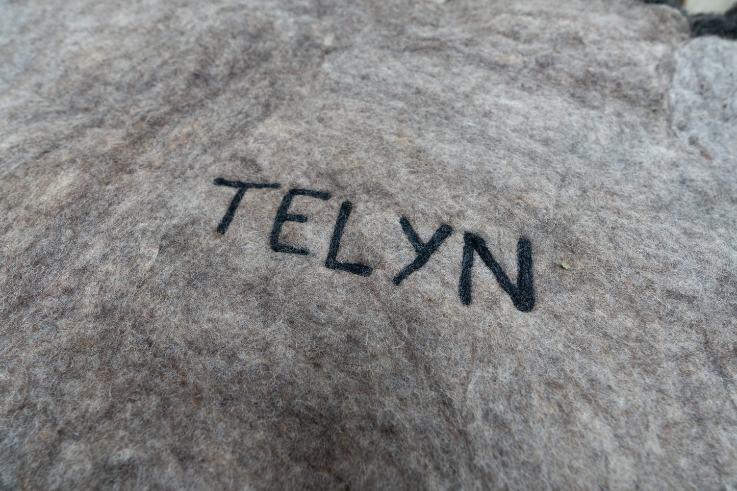 Telyn - 2023