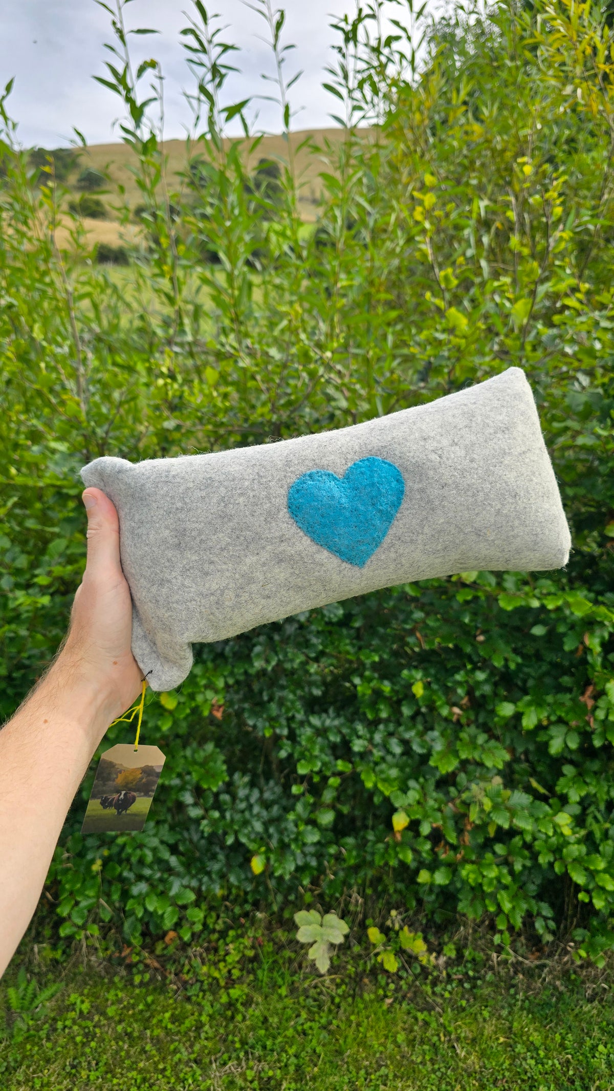 🐑💙🐑