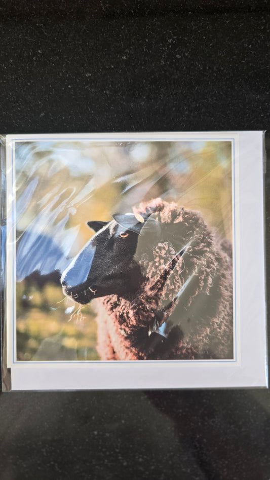 Hand crafted cards - Wool