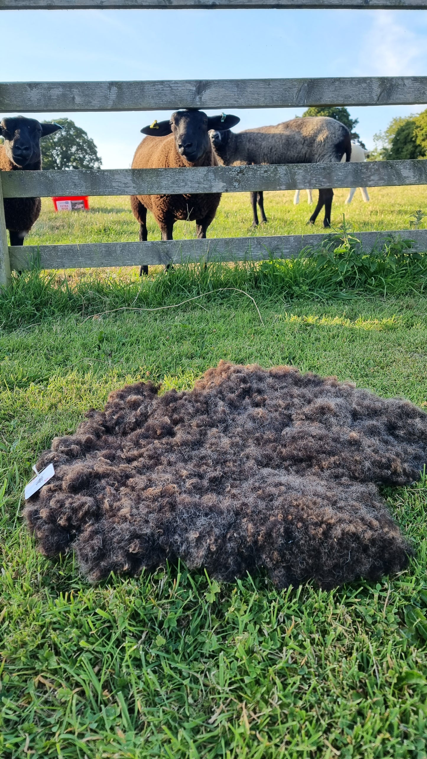 Small - Pet bed/seat cover