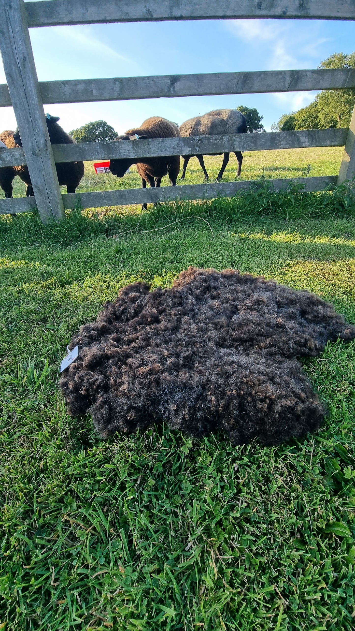 Small - Pet bed/seat cover