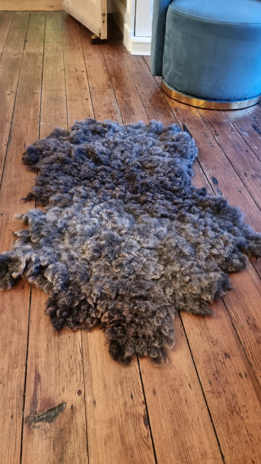 Large pet bed/2nd rug