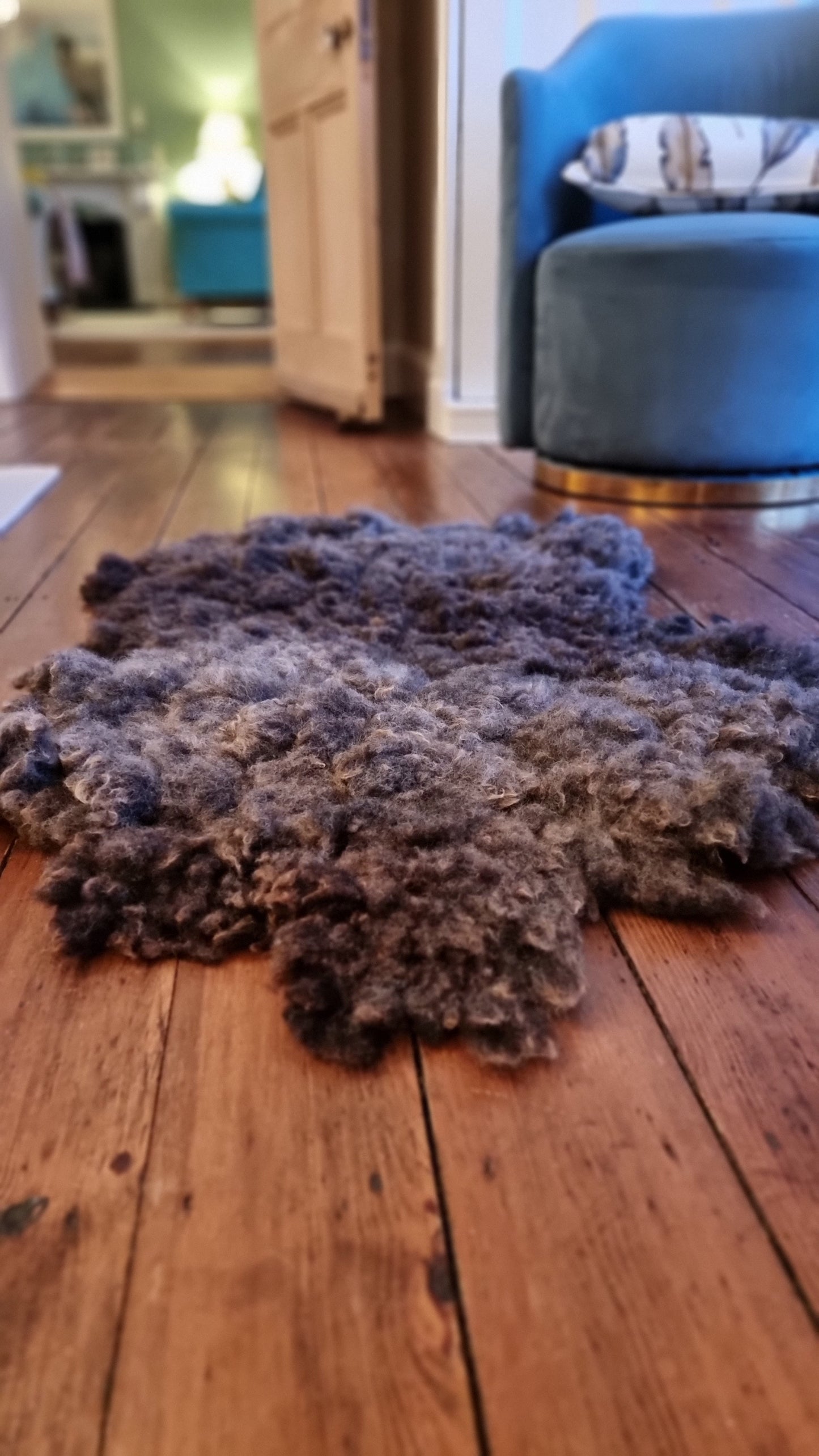 Large pet bed/2nd rug